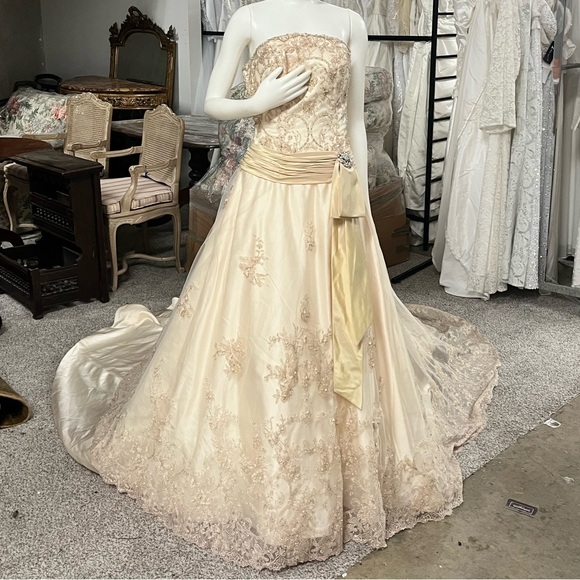 Champagne Wedding Dress - Picture 6 of 10
